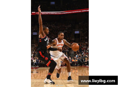 NBA球员访朝：探索篮球与政治交织的新视角