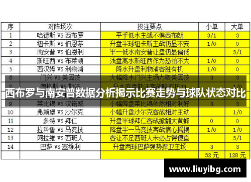 西布罗与南安普数据分析揭示比赛走势与球队状态对比